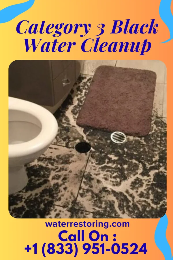 Category 3 Black Water Cleanup in Blanchard, IA