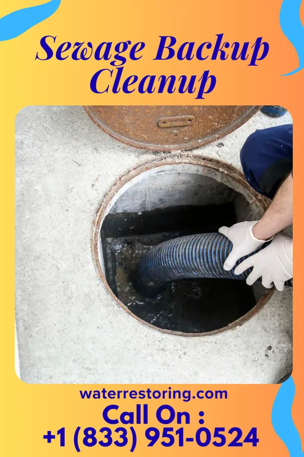 Sewage Backup Cleanup in Blanchard, IA