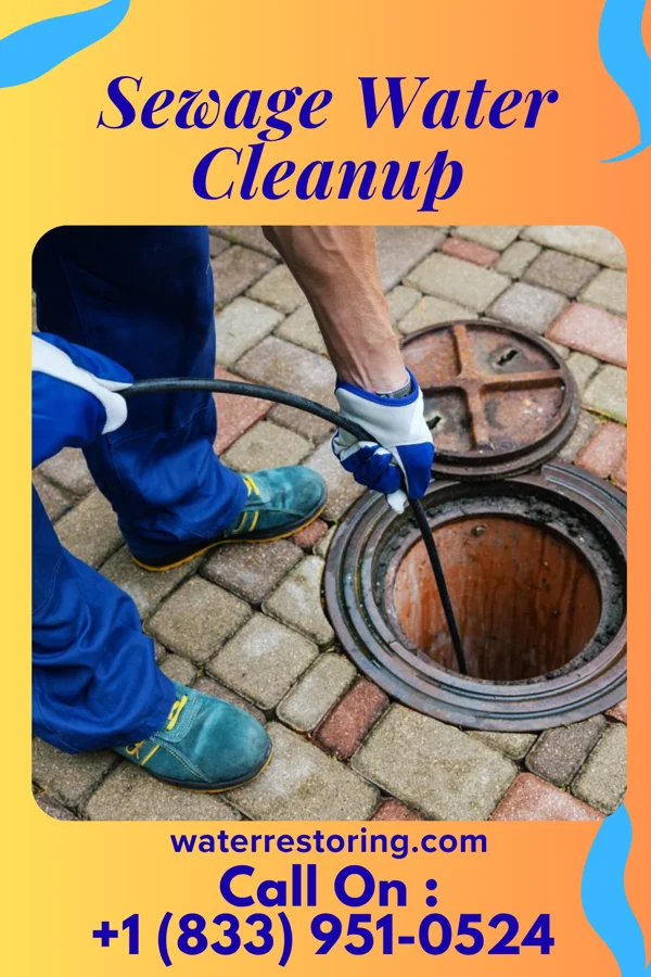 Sewage Water Cleanup in Blanchard, IA
