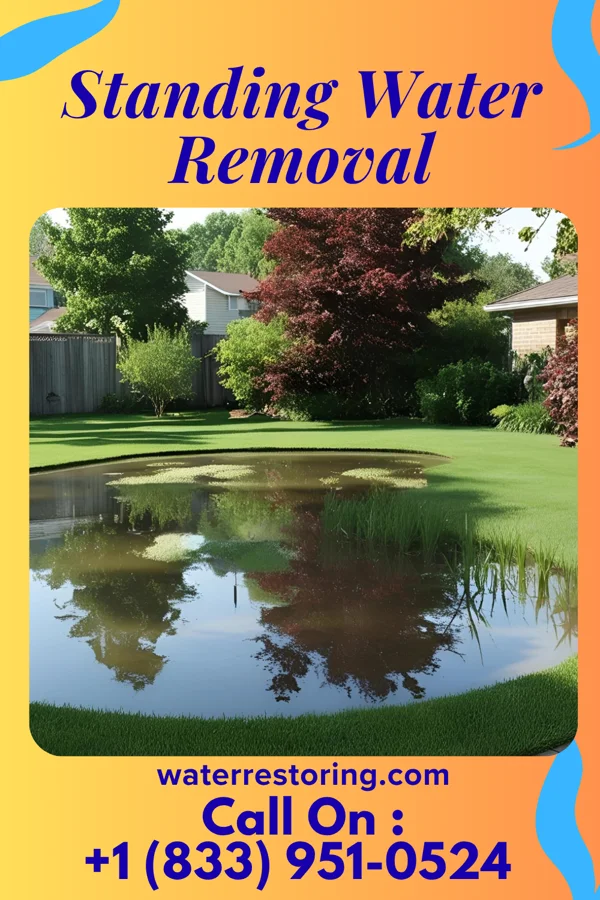 Standing Water Removal in Blanchard, IA
